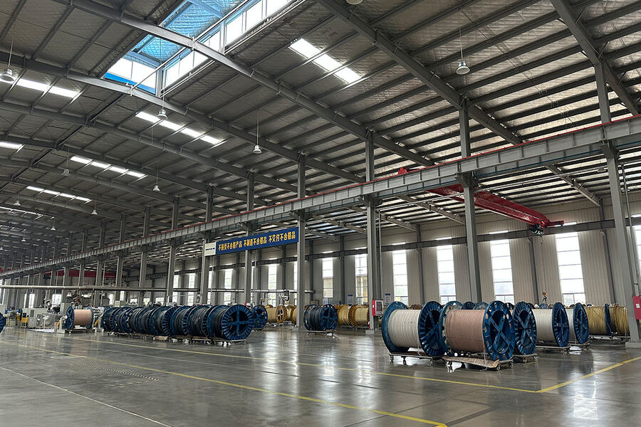 Jiayao Co., Ltd. manufacturer production line