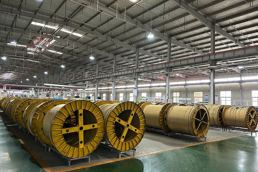 Jiayao Co., Ltd. manufacturer production line